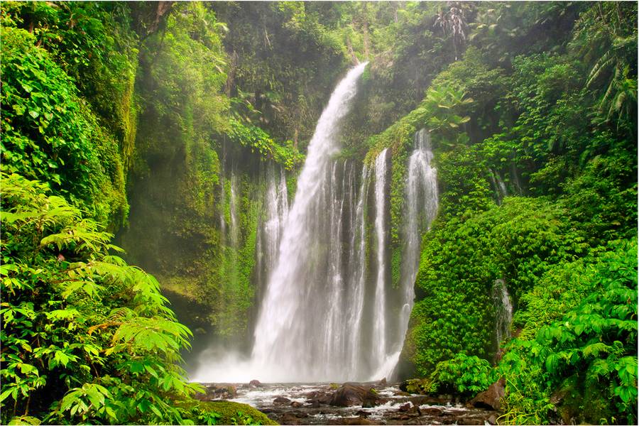 Waterfall Tour